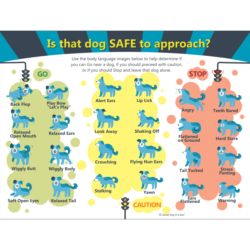 Dog Bite Prevention Poster