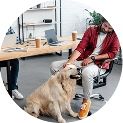 Dogs in the Workplace