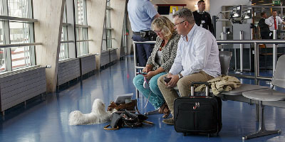 Dogsurance Airport Employees Dog Safety Training