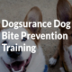 Dogsurance Dog Bite Prevention Training