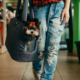 Online Dog Bite Prevention Training Retail Industry
