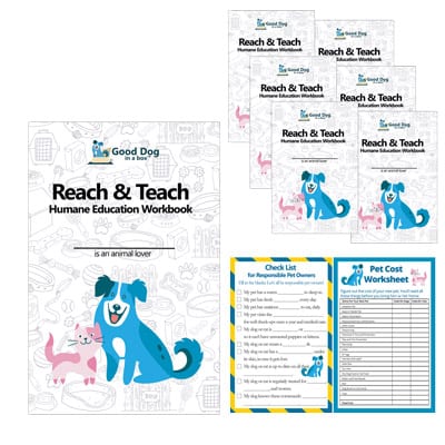 Reach & Teach Workbooks